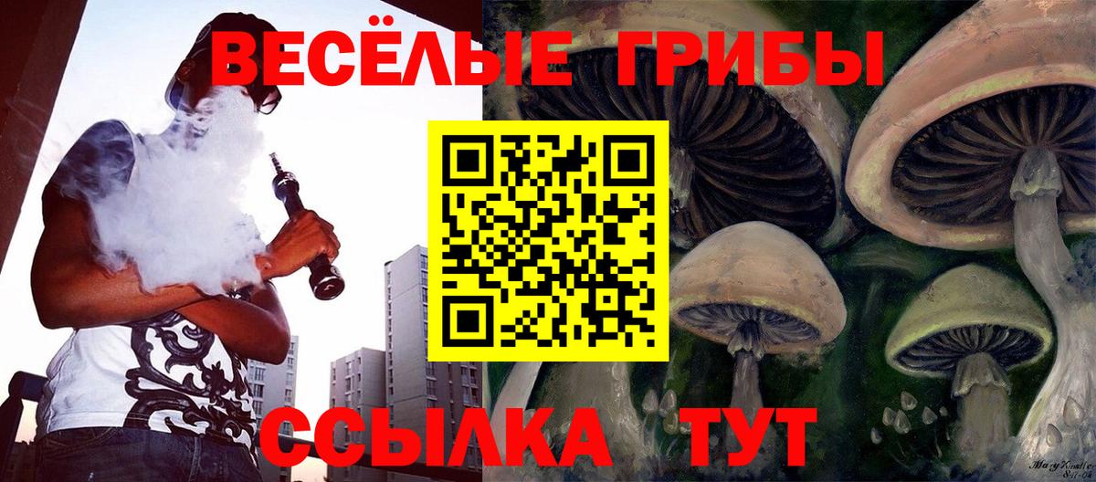 Галлюциногенные грибы GOLDEN TEACHER Кыштым